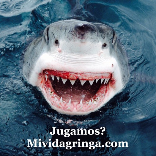 Xiomara Spadafora Tiburon