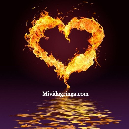 Xiomara Spadafora Love Burns.jpg