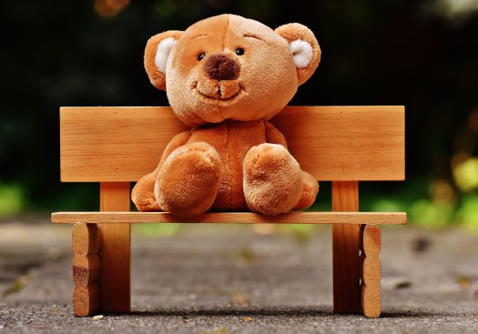 bear-bench-blur-207906