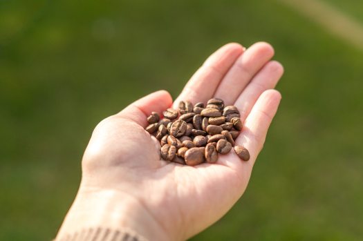 aroma-background-beans-927754.jpg